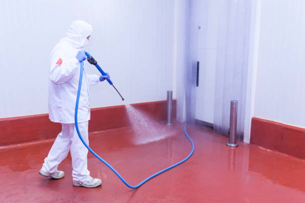 Best Rust Removal  in South Taft, CA